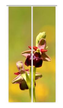 Wilde Orchidee, Schiebegardine, Schiebevorhang, Orchidee, Raumteiler,